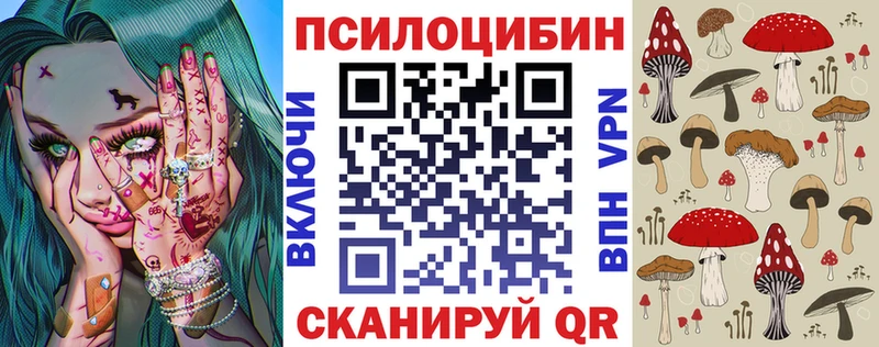 Галлюциногенные грибы Psilocybine cubensis Приозерск